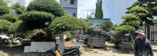 100m đất đường TRần Quốc 🏣 Hoàn,H; Bắc,giá;8tr/tháng,thuê lâu dài