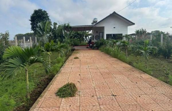 Cần bán Nhà mặt phố 595m²
