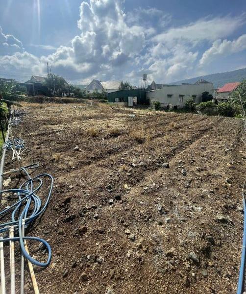 Bán gấp lô đất vị trí siêu 🏠 đẹp cách QL20 chỉ 500m - Thích hợp nghỉ dưỡng và đầu tư dài lâu