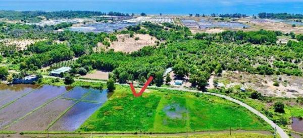 Bán Đất nền riêng lẻ 1076m²