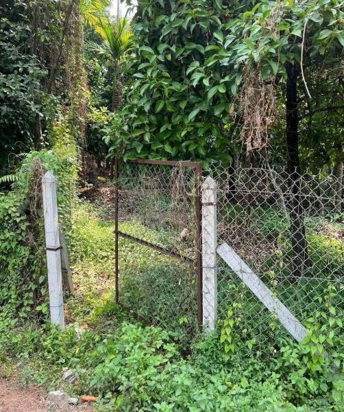 Bán 🏡 200m2 đất vườn cây ăn trái ở An Sơn, Thuận An gần bến đò An Sơn giá 3,8 tỷ