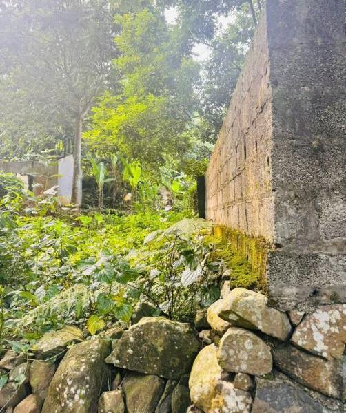 Cần bán 1160m có 400m thổ cư tại 💥 Vĩnh Tiến, Kim Bôi, Hòa Bình.