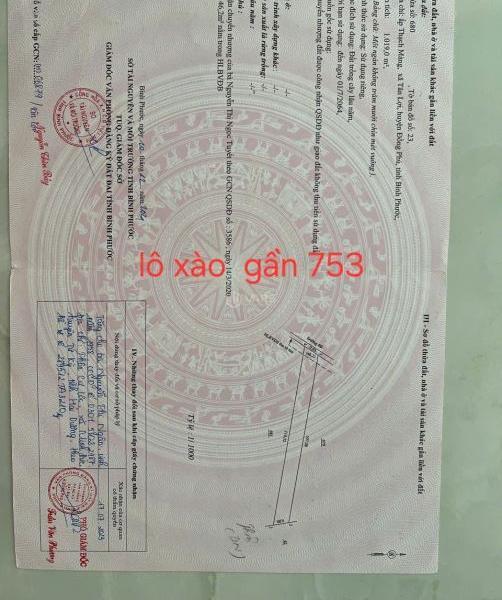 Bán lô đất sào 🏚️ Ngay Gần DT.753. 10x100m giá chỉ: 2xx