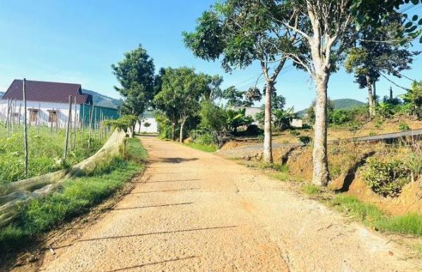 👊 Đất săn mây 5x35m Tại Ninh Loan, Đức 🏘️ Trọng, Lâm Đồng.