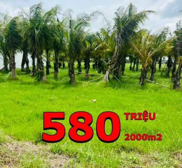 Cần bán Khác 2000m²