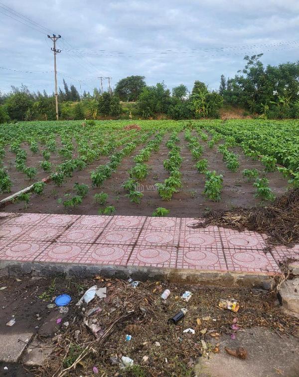 Cần bán Đất nền Dự án 100m²