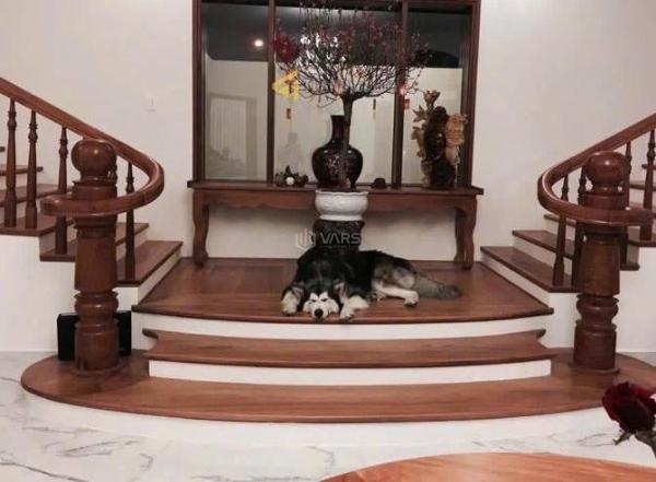 CĂN VILLA GÓC HAI MẶT ☘ TIỀN KQH NGHỈ DƯỠNG SANG TRỌNG, ĐẲNG CẤP TẠI ĐÀ LẠT