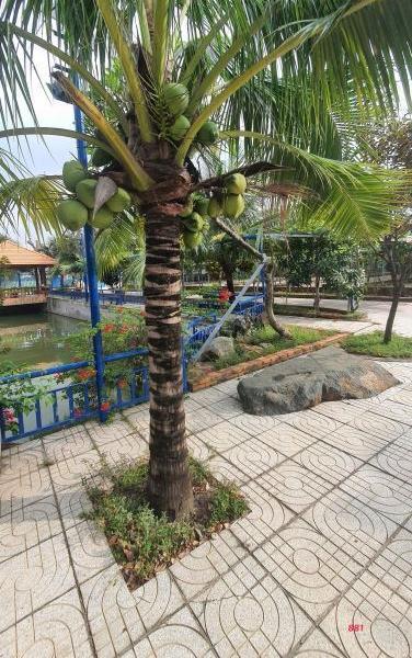 Bán khu 🏚️ vườn sinh thái nghỉ dưỡng gần 1 ha ngay gần trung tâm Biên Hòa, Đồng Nai giá rẻ 58