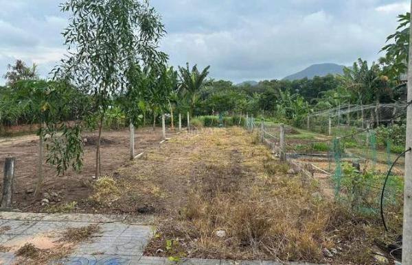 ĐƯỜNG SỐ 3 - ( sau quán 6 Kiếng ) NGỘP CHỦ CẦN BÁN GẤP -Phước Hưng 🏬 - TP Bà Rịa- CHỈ 2 Tỷ50