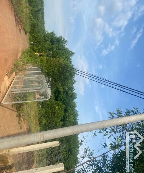 Vườn quýt hơn 3 sào, sổ riêng xã Trị An 💥 Vĩnh Cửu