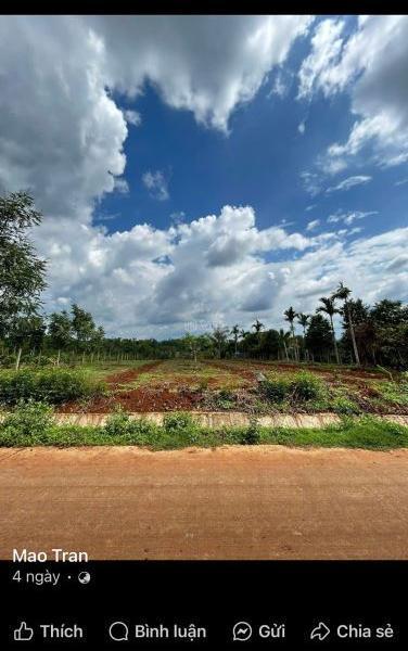 BÁN 🏦 3 SÀO ĐẤT, ĐẠT LÝ HÒA THUẬN BMT GIÁ 2,5TY 28X108 ĐƯỜNG BÊ TÔNG, GẦN DÂN CƯ HIỆN HỮU T