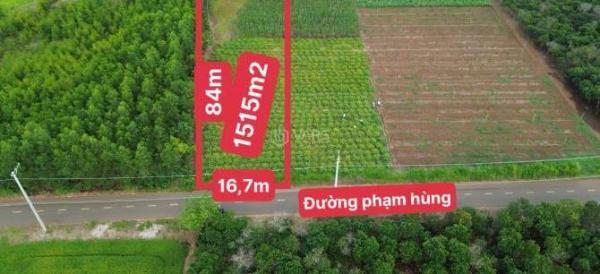Đường Phạm Hùng 1,5 công(17x83m) giá chỉ 💥 2tỷ500 chốt