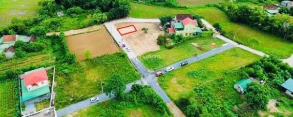 duy nhất lô 🏢 đất xóm Trường Lân , Nghi trường gần đường Đức Thiết , bám đường ô tô tránh nh