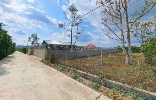 12x43m Lê 💥 thị Riêng Lộc Châu Bảo Lộc 1ty250