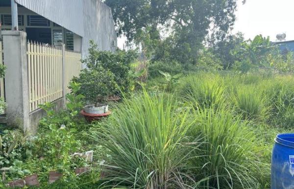 Đất mặt tiền 🏦 Điện Biên Phủ, Phường Ninh Thạnh, Tây Ninh ( giá chỉ 650triệu/m ngang )