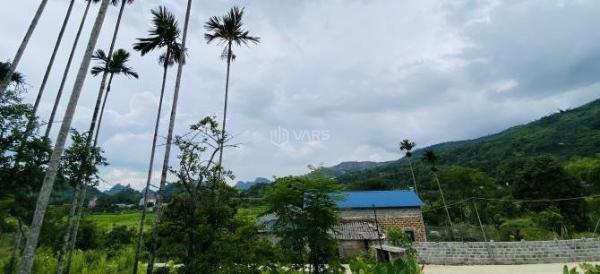 Bán Đất nền riêng lẻ 554m²