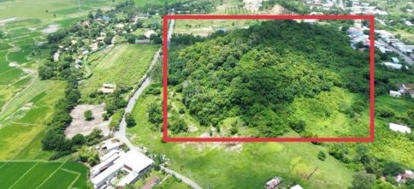Bán đất đồi có rừng 🏘️ cây gổ quý lâu năm, tại Thành Phố Bà Rịa, phù hợp làm khu sinh thái