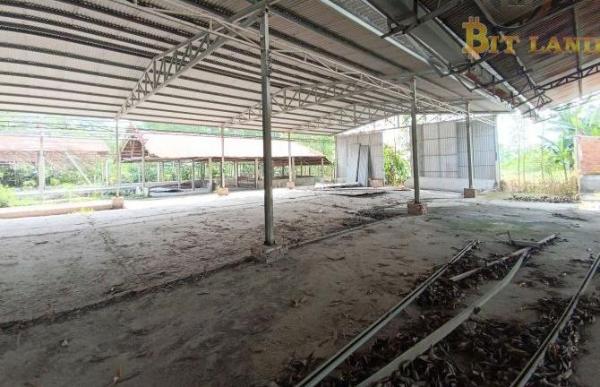 CHO 🏘️ THUÊ XƯỞNG HỐ NAI 3 – TRẢNG BOM – ĐỒNG NAI (XT157)