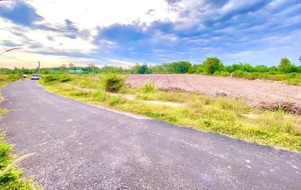 Chủ cần bán Đất nền riêng lẻ 8770m²