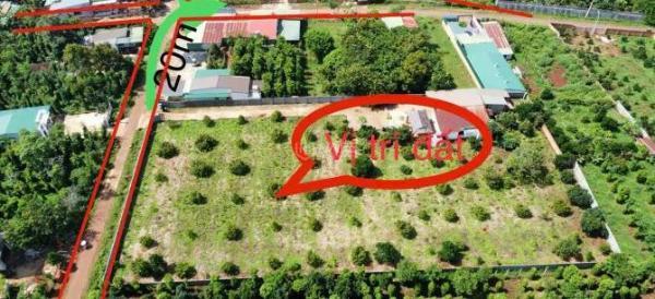 Cần Bán Nhanh Lô Đất 🏘️ Sào Có Thổ Cư Hẻm Cấp 1 Đường 19/5 BMT
