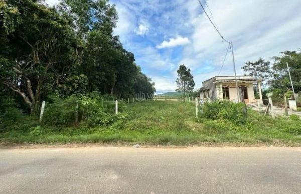 Chủ cần bán Đất nền riêng lẻ 1384m²