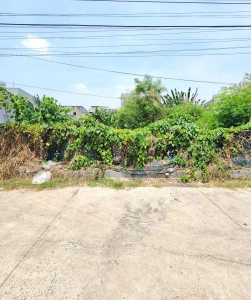 Chủ cần bán Đất nền riêng lẻ 109m²