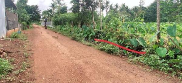 5x30m ĐẤT THỔ CƯ NGAY ĐƯỜNG HCM-GẦN ĐƯỜNG CAO TỐC 💥 GIÁ RẺ