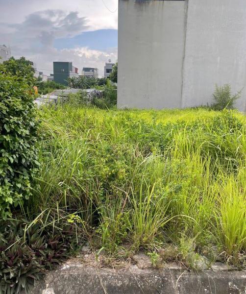 💥 BÁN GẤP LÔ ĐẤT HIẾM – KHU 7% LAM HẠ, TP. PHỦ LÝ 💥 🔥 📍 Vị trí vàng – Trung tâm TP
