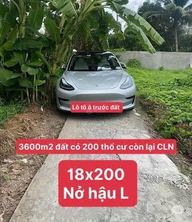 🌿 3.600m² NGAY BA LÁNG – CÁI RĂNG – ĐẸP ĐỂ Ở, NGON 🆘 ĐỂ ĐẦU TƯ 🌿
