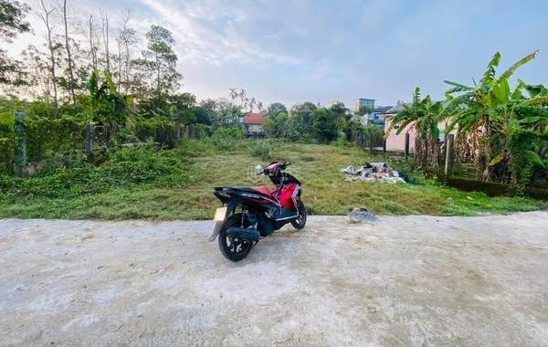 Cần bán Đất nền riêng lẻ 93m²