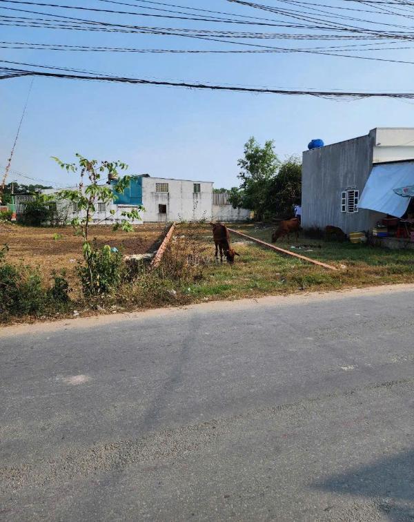 Bán gấp đất bùi công trừng, đông thạnh, hóc môn, 700 triệu, 115m2 gần 🏡 chợ gấu