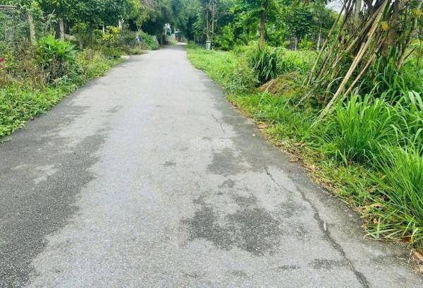 Bán Đất nền riêng lẻ 100m²