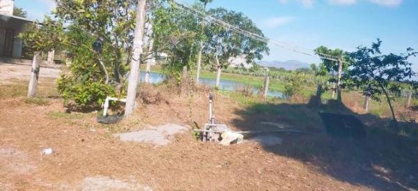 Bán Nhanh Vườn Thanh Long 3,3 Xào, Có Thổ 🏡 Cư, Nhà Cấp 4 – Giá Rẻ Tại LaGi!