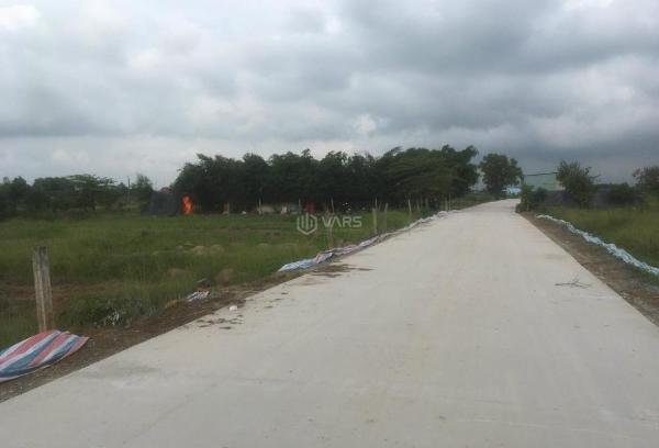 Bán Trang trại, nhà vườn 1000m²