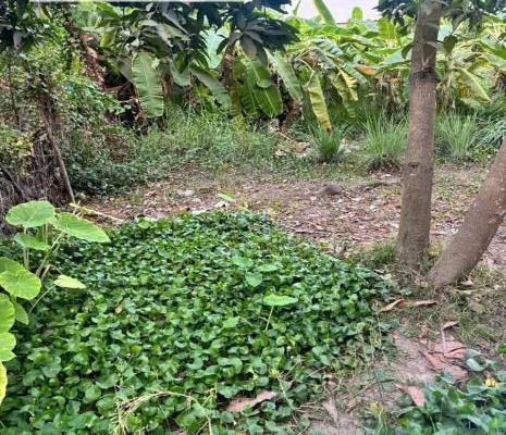 Chủ cần bán Khác 90m²