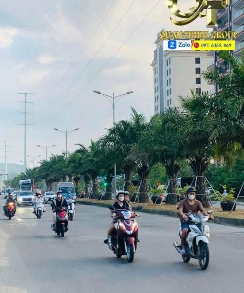 Cho thuê Nhà mặt phố 150m²