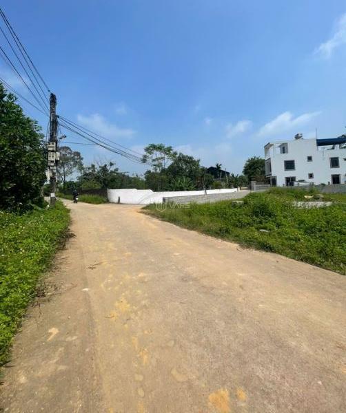Chủ cần bán Đất nền riêng lẻ 2566m²