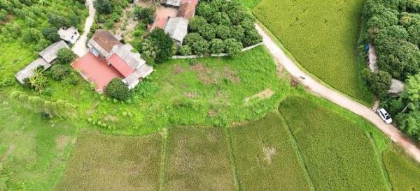 2350m2, 360TC, bán đất thổ cư tại Lục Nam - bắc Giang - bắc Ninh; 🆘 ô tô, mt 25m. 850tr