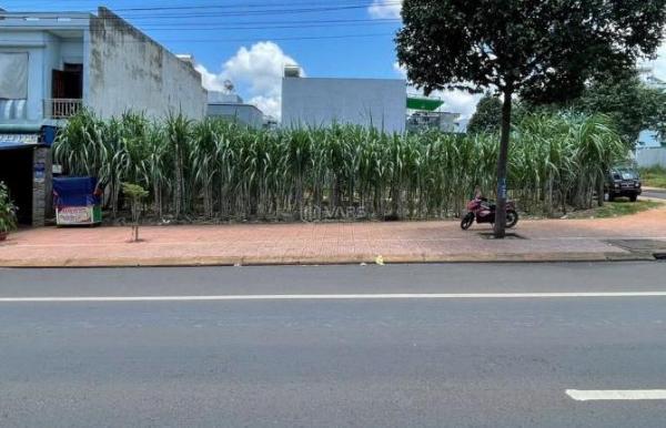 ĐẤT ĐẤU GIÁ PHAN BỘI CHÂU — MẶT ĐƯỜNG 🏦 ĐỐI DIỆN BIG C GO - BMT —— Diện tích 5 x 20