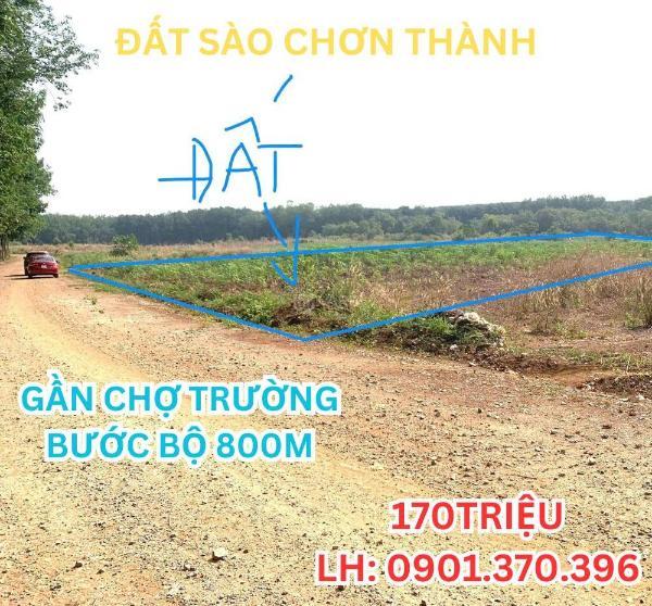 Chủ cần bán Trang trại, nhà vườn 1001m²