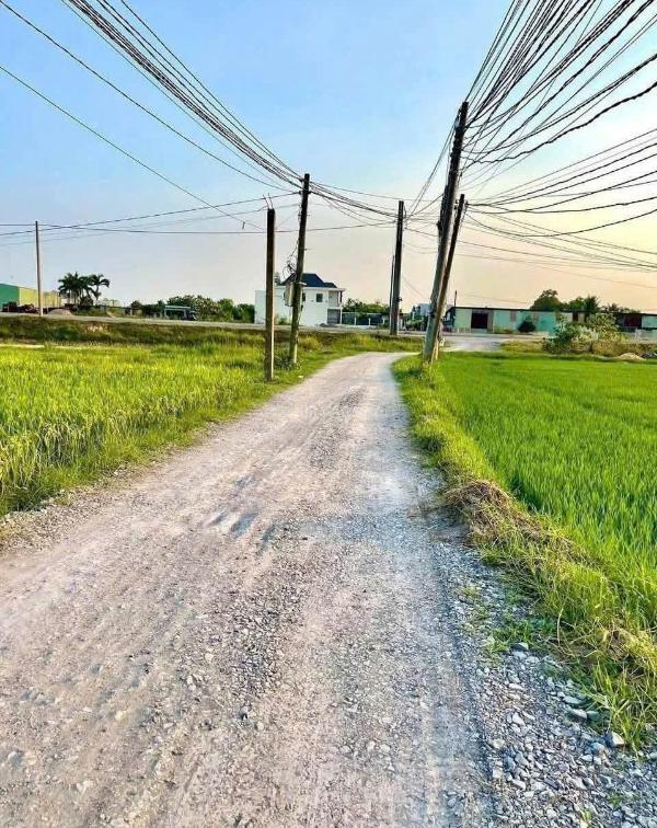 Cần bán Đất nền riêng lẻ 1562m²
