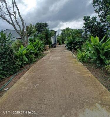 bà 🏘️ chị nhờ bán gấp lô đất 5x54 thổ cư 80m2 sát đường hành chính tay kom tum