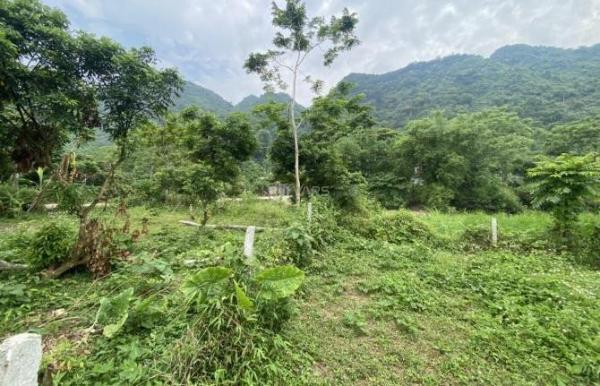Chủ cần bán Đất nền riêng lẻ 1800m²