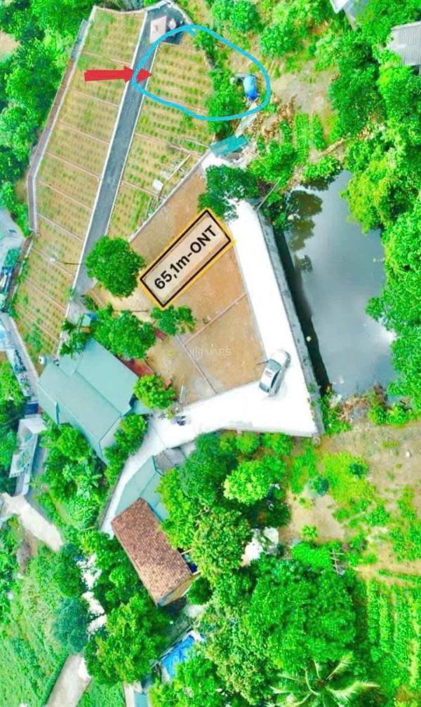Cần tiền bán gấp - 60m2 sen trì 🏢 rẻ nhất thị trường