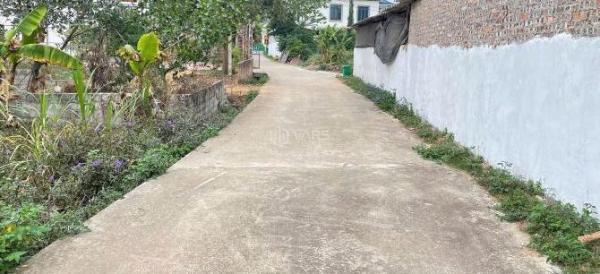 Chủ cần bán Đất nền riêng lẻ 113m²