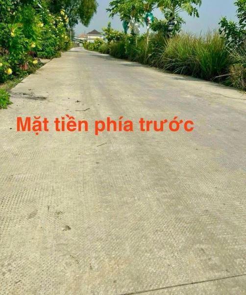 xã Đức Hòa Đông; có 3 nền thổ 🏠 cư; dt 5x35m; 2 mặt tiền