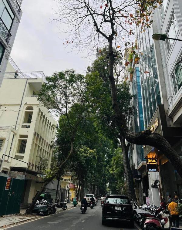 Bán Nhà mặt phố 82m²