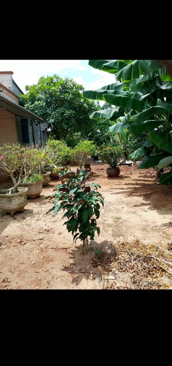 Tôi cần bán lô đất của mình rộng 390m2 gần 👍 biển và khu hành chính giá hữu nghị.