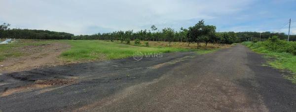 Chủ cần bán Đất nền riêng lẻ 250m²