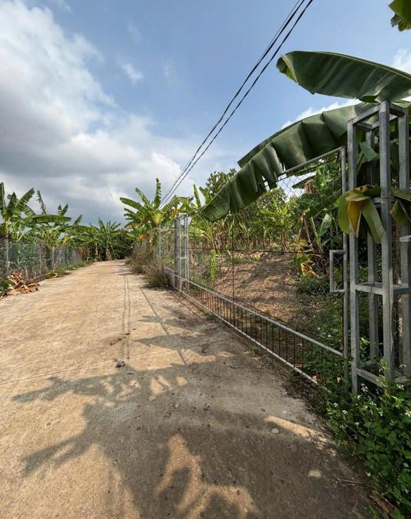 Bán đất vườn trái cây ngay ngã tư dầu giây giá 🏦 900 triệu 1 sào tại gia kiệm